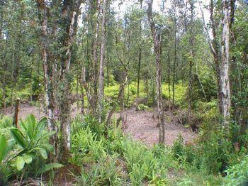 Place Holiday home Keaau